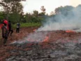 Lahan gambut di Kalteng yang perlu dijaga basah untuk mencegah Karhutla.