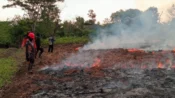 Lahan gambut di Kalteng yang perlu dijaga basah untuk mencegah Karhutla.