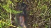 Kondisi mayat tanpa identitas yang ditemukan membusuk tanpa kepala di kawasan hutan Kereng Bangkirai, Kecamatan Sabangau, Kota Palangka Raya.