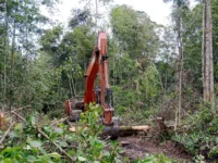 Dua Alat Berat Kasus HPK Sukamara Disebut Hilang, Pelapor Desak Polda Kalteng Buka Status Barang Bukti