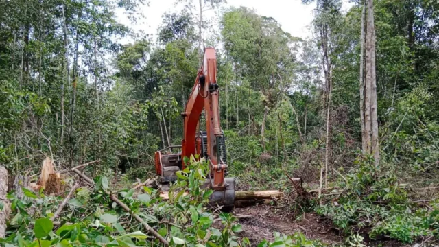 Dua Alat Berat Kasus HPK Sukamara Disebut Hilang, Pelapor Desak Polda Kalteng Buka Status Barang Bukti