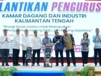 Rahmat Hamka Pimpin KADIN Kalteng 2026-2031