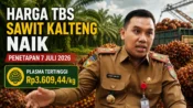 Ilustrasi berita harga TBS sawit Kalimantan Tengah naik dengan foto Kepala Dinas Perkebunan Kalteng Rizky R Badjuri dan latar perkebunan kelapa sawit.
