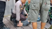 Terduga pelaku anak diduga membunuh ayah kandung di Kapuas Tengah dibekuk polisi.