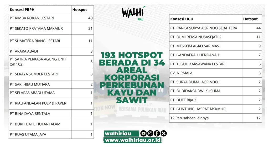 Karhutla Riau Tembus 16.277 Hektare, WALHI Soroti 34 Konsesi
