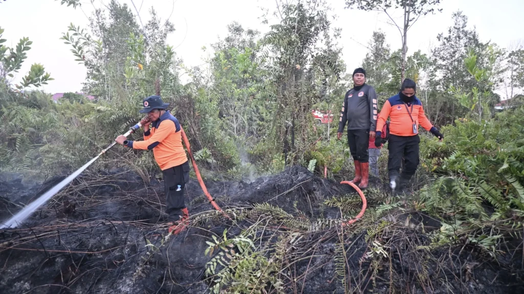 Karhutla Palangka Raya Disorot Nasional, Ini Kondisi Terbarunya