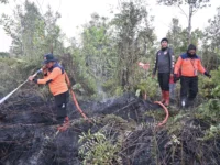 Karhutla Palangka Raya dan kondisi lahan kering saat musim kemarau