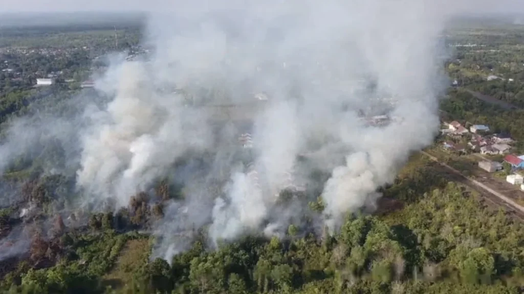 Puncak Kemarau Agustus 2026, BMKG Ingatkan Kalteng Waspada Karhutla