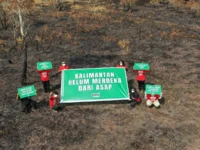 Lahan terbakar di kawasan perkebunan sawit terkait hotspot Karhutla Kalsel 2026