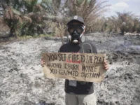 Lahan terbakar di kawasan perkebunan sawit terkait hotspot Karhutla Kalteng 2026