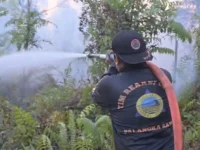 Petugas memadamkan kebakaran lahan di Palangka Raya dengan total 265 kejadian karhutla hingga 17 Agustus 2026