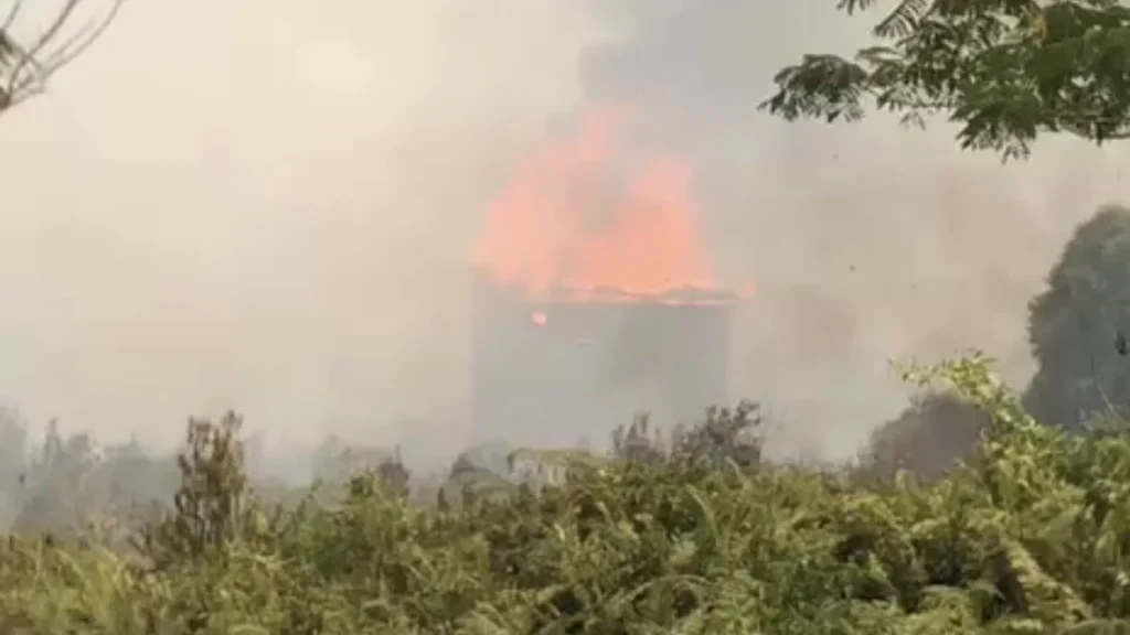 Karhutla Kian Ganas, Api Makin Dekat ke Warga Palangka Raya Hingga Hanguskan Sarang Walet