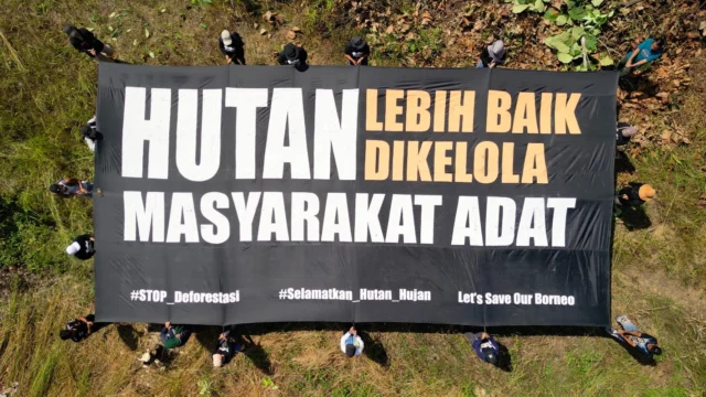 Masyarakat adat Dayak Taboyan membentangkan spanduk untuk menjaga hutan Desa Tongka