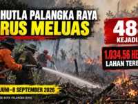 Infografis BPBD mencatat 488 kejadian karhutla dan 1.034,56 hektare lahan terbakar di Kota Palangka Raya