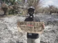 Pemerintah Digugat karena Dinilai Gagal Tangani Karhutla