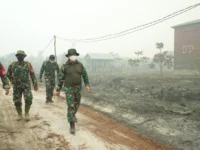 Pangdam XXII/Tambun Bungai Mayjen TNI Zainul Arifin meninjau lokasi karhutla di TWA Galeget Tiawu Pulang Pisau