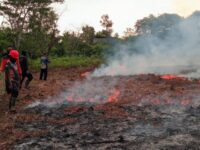 DPRD Kalteng minta respons cepat menangani titik api karhutla