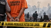 Petugas gabungan menangani kebakaran hutan dan lahan di Kalimantan sementara aparat mengusut kasus karhutla