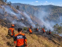 Petugas BPBD menangani kebakaran di lereng kawasan Bromo