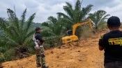 AJP mengelola lahan eks BJAP hasil sitaan Satgas PKH di bawah pengawasan Agrinas