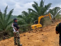 AJP mengelola lahan eks BJAP hasil sitaan Satgas PKH di bawah pengawasan Agrinas