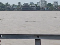 Buaya sekitar dua meter muncul di Sungai Kapuas dekat penyeberangan feri Kuala Kapuas
