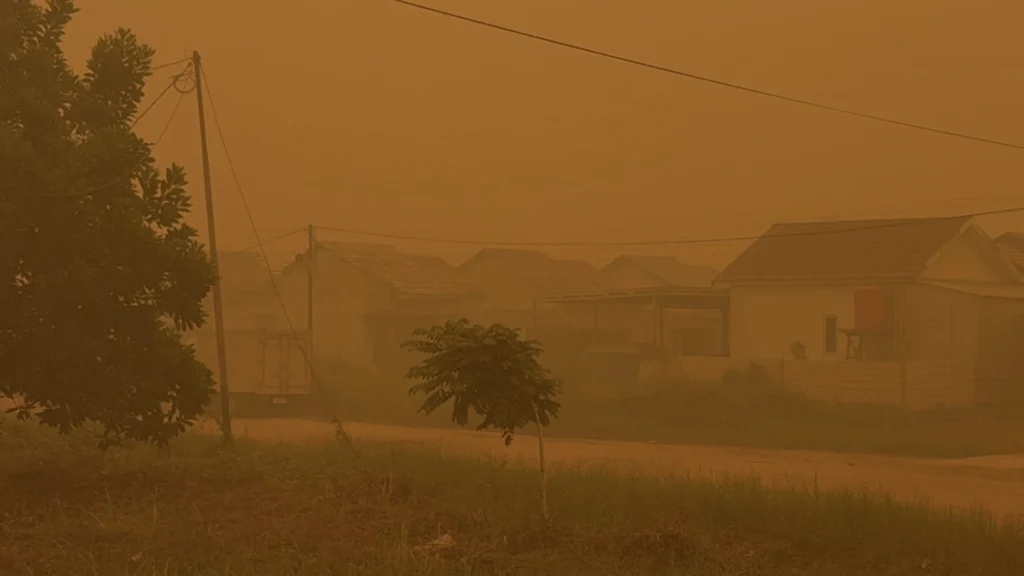 Karhutla Kalteng Hanguskan 20 Ribu Hektare, Asap Masih Pekat