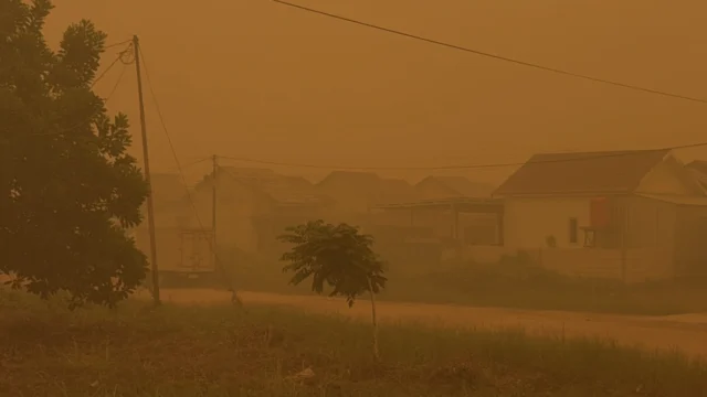 Kabut asap tebal berwarna kuning menyelimuti permukiman Palangka Raya akibat karhutla Kalimantan Tengah yang membakar lebih dari 20 ribu hektare lahan.