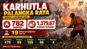 Infografis BPBD Kota Palangka Raya mencatat 782 kejadian karhutla dan 1.379,67 hektare lahan terbakar hingga 4 Oktober 2026.