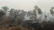 Lahan gambut bekas karhutla di Palangka Raya masih mengeluarkan asap setelah dipadamkan petugas.