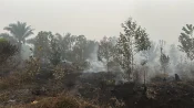Lahan gambut bekas karhutla di Palangka Raya masih mengeluarkan asap setelah dipadamkan petugas.